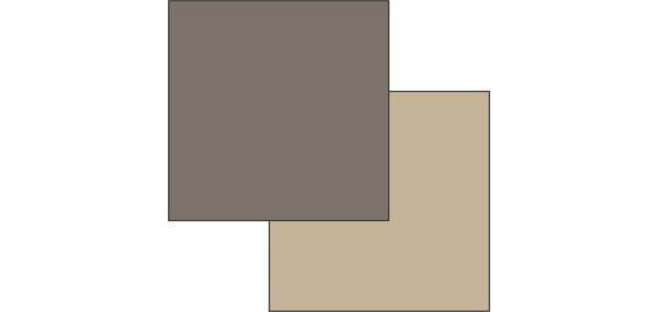 gully-paperbark_1749756326
